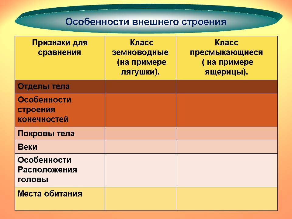Амфибия против рептилий - разница и сравнение