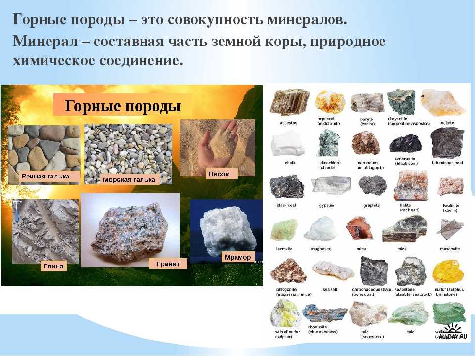 Вещества земной коры: минералы и горные породы • образавр