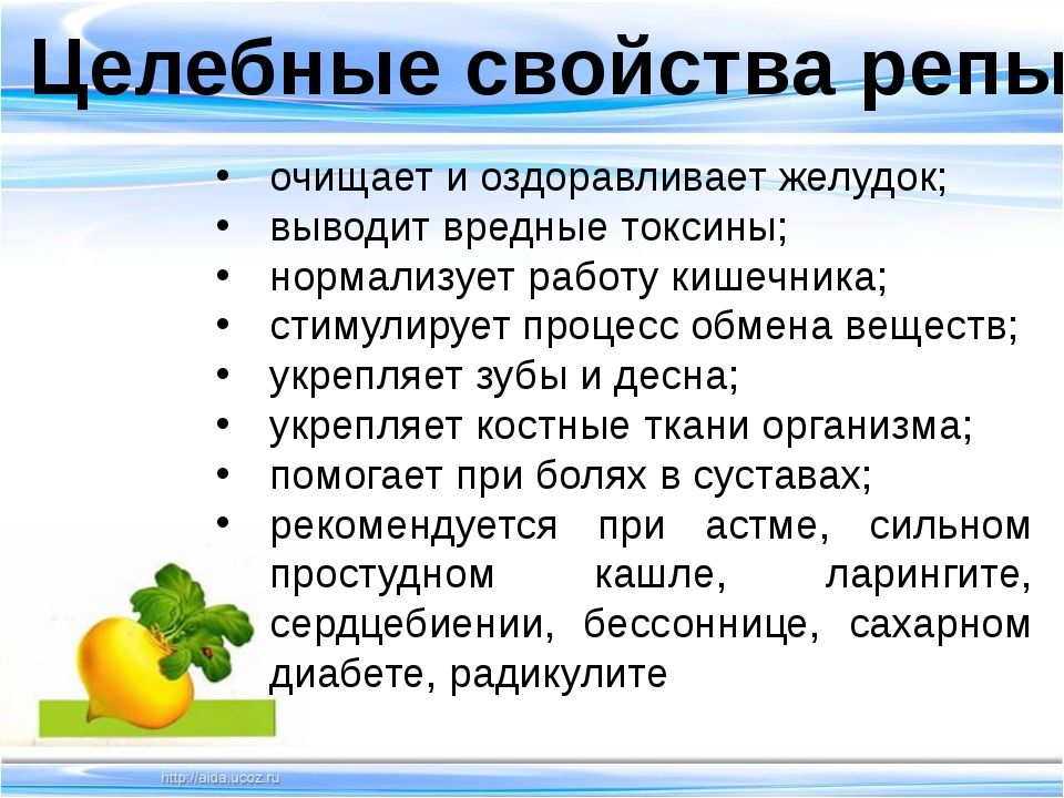 Полезные корнеплоды: редька, репа, брюква
