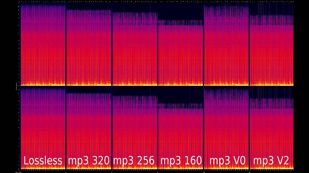 Каковы различия между mp3, flac и другими аудиоформатами?