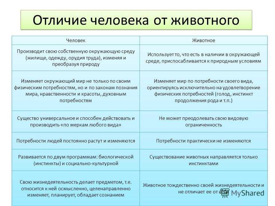 Чем звери отличаются от других животных ответ