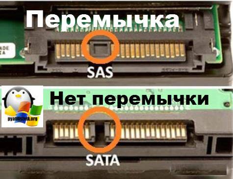 Sas vs sata - разница и сравнение - blogul 2024