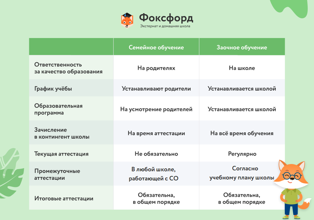 Какую форму обучения лучше выбрать очную или заочную? | в чем разница