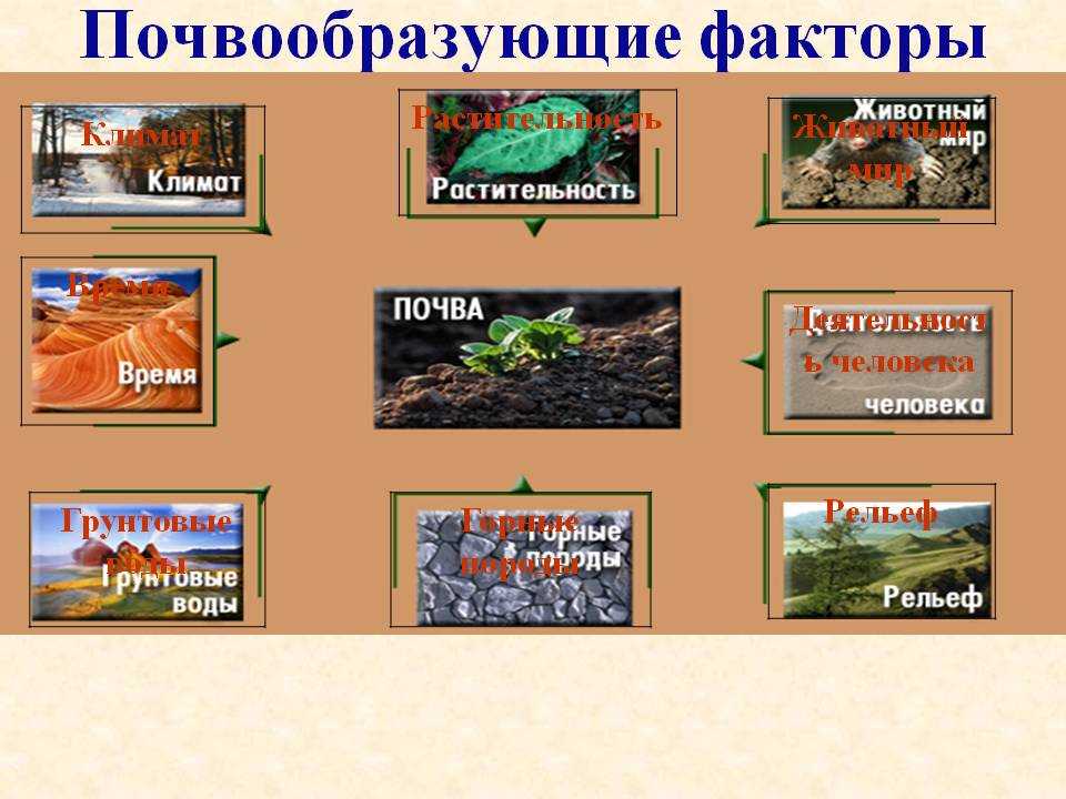 Онвбннапюгнбюмхе