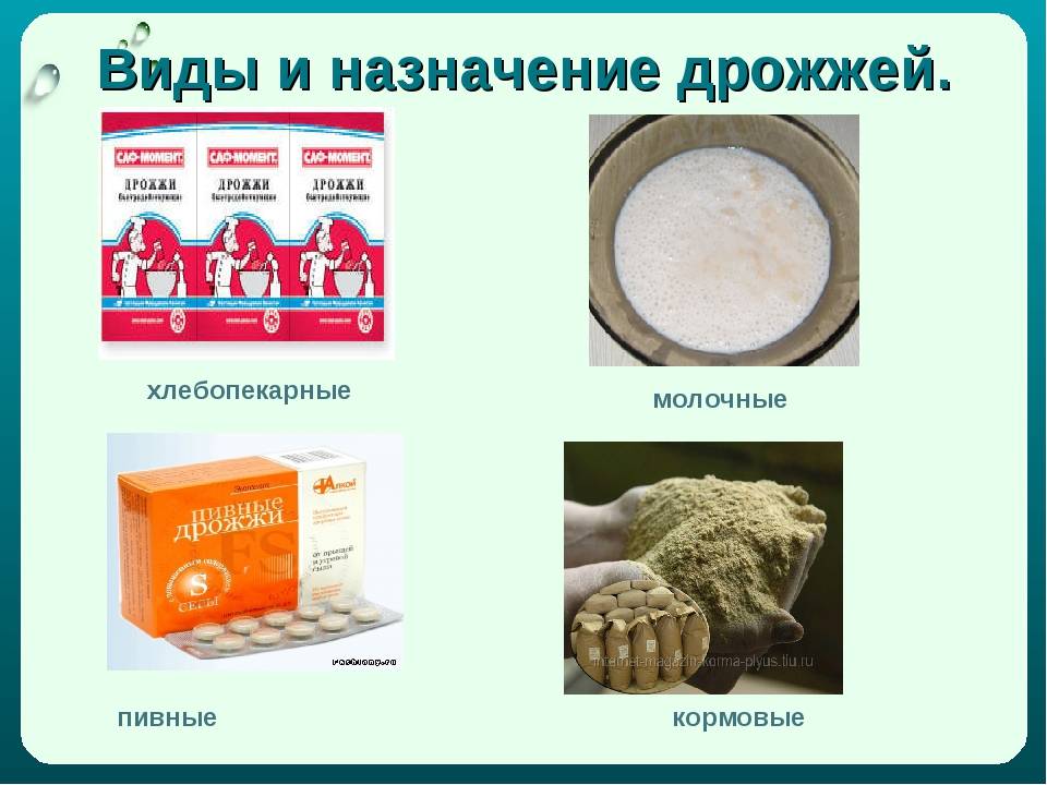 В чем разница спиртовых и хлебопекарных дрожжей в самогоноварении.