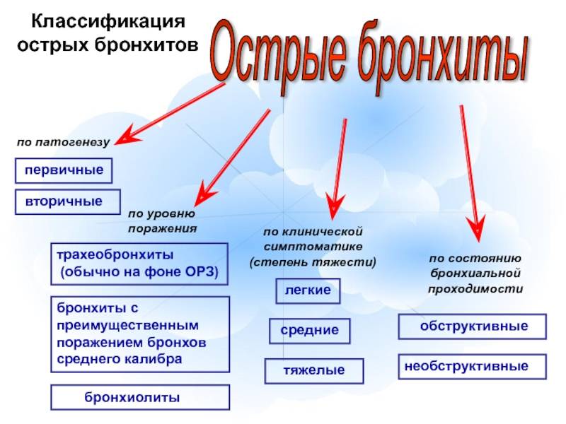 Хронический обструктивный бронхит у взрослых и детей: причины, симптомы, диагностика и лечение