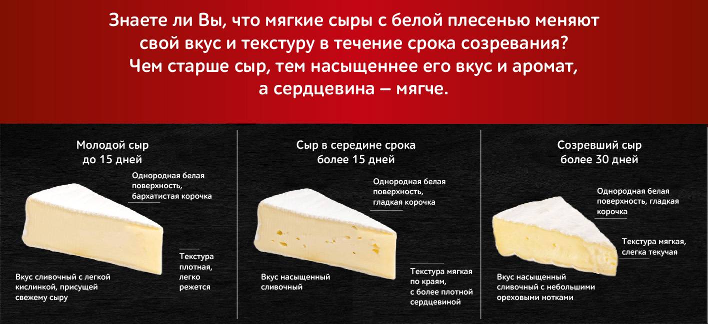 Чем бри отличается от камамбера и можно ли их заменять друг другом
