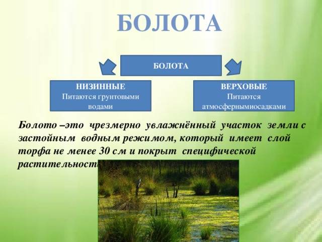 Что такое озеро: кратко о важном и каковы его признаки, отличие от реки и моря