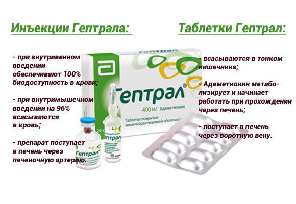Гептор или гептрал: что лучше, мнение врачей, сравнение и эффективность, разница между препаратами
