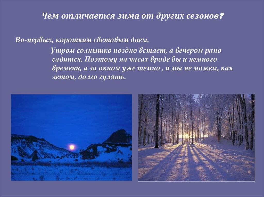 Летняя и зимняя древесина — есть ли способ различить? — мир дерева