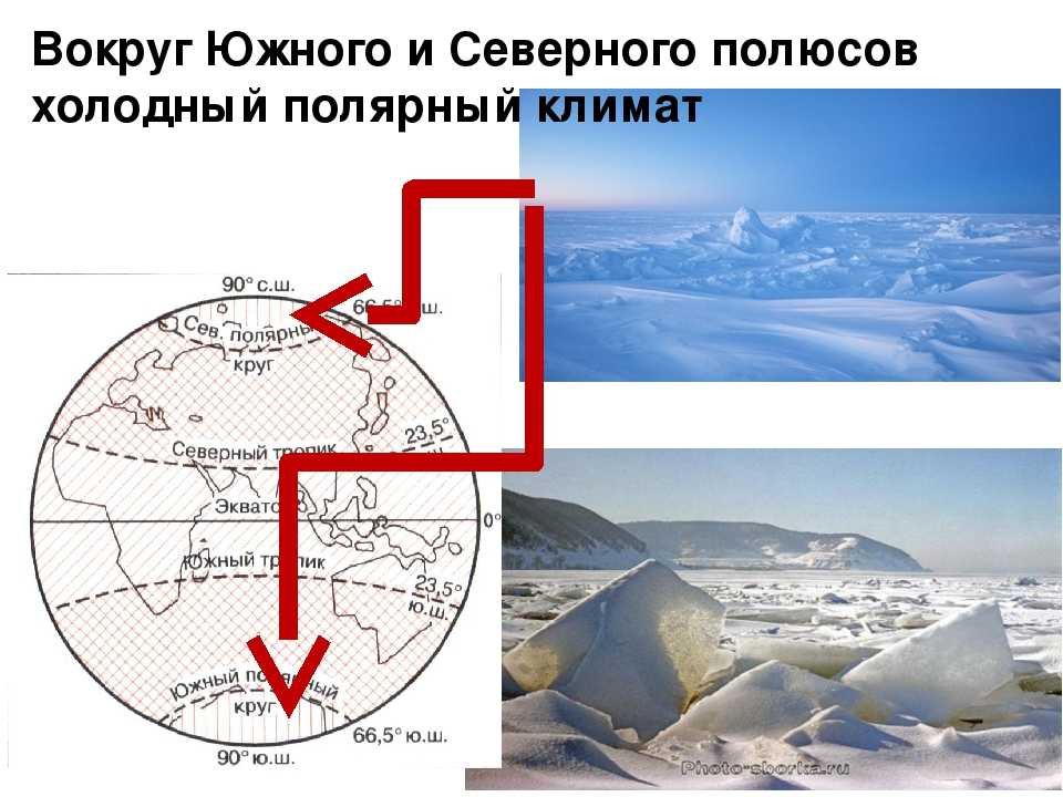 Северный полюс и южный полюс — в чем заключается их главная отличительная черта?