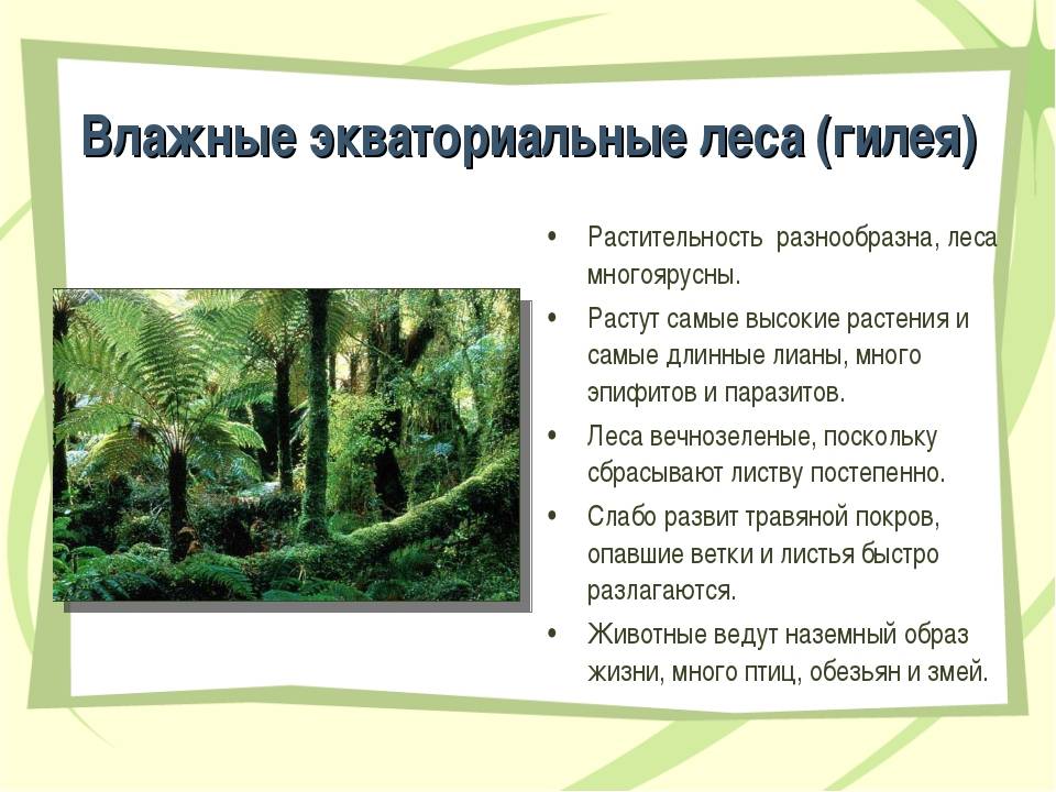 Климат южных материков