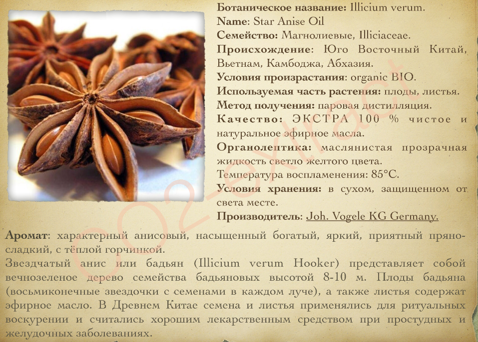 Как отличить анис от бадьяна - обзортека