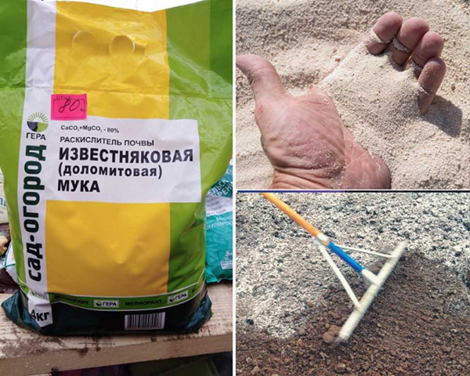 Как правильно раскислить почву доломитовой мукой