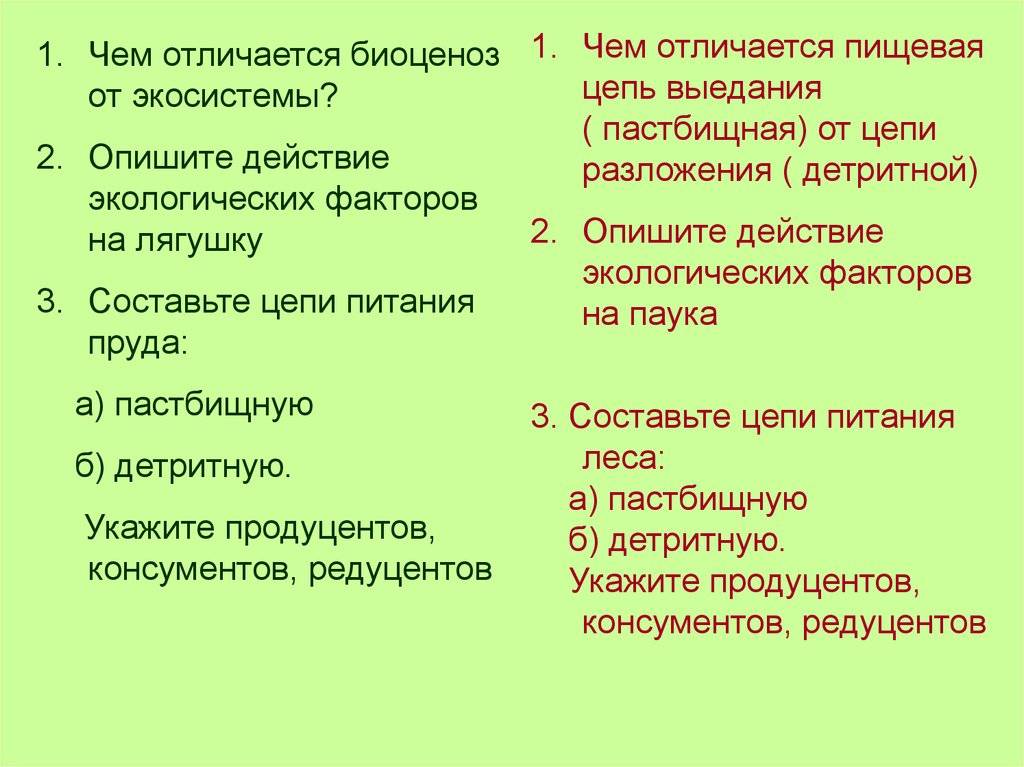Биогеоценоз животных и растений: виды, уровни и структура.