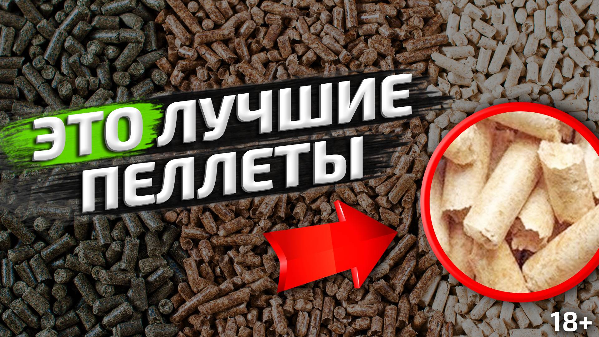 Уголь или пеллеты для отопления: что лучше?