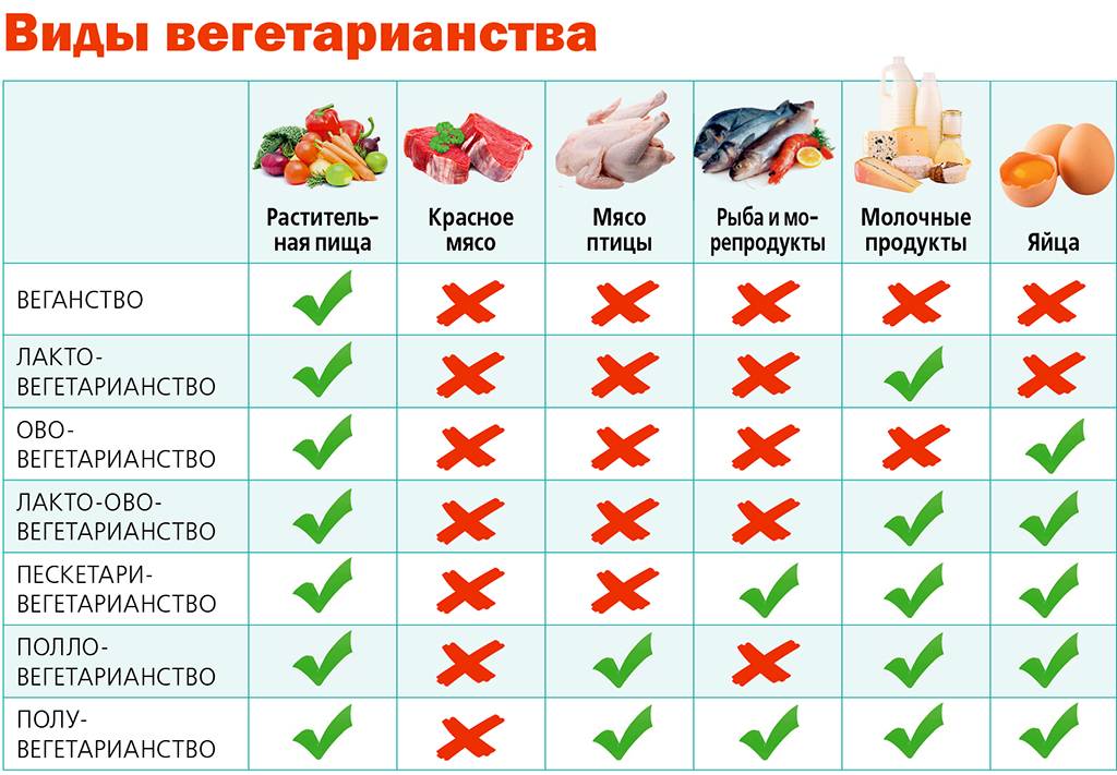 Веганство и вегетарианство: польза и вред по мнению гастроэнтерола / блог / клиника эксперт