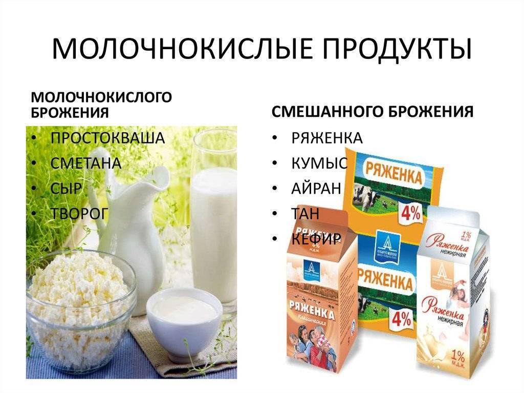 Что лучше – кефир или ряженка
