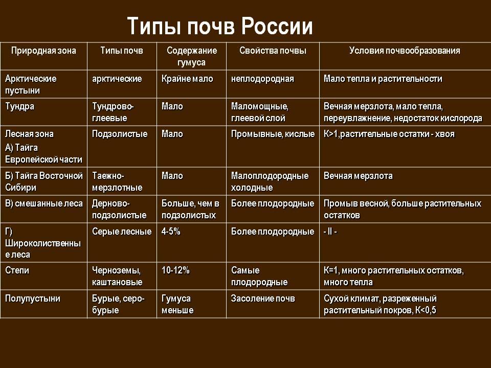 Что такое фактор почвообразования? какие существуют факторы почвообразования?