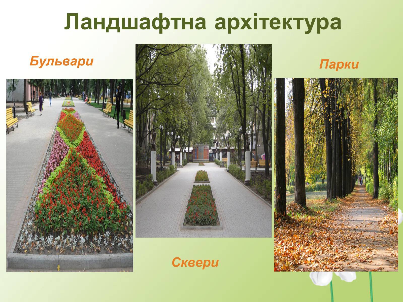 Чем сквер отличается от парка кратко