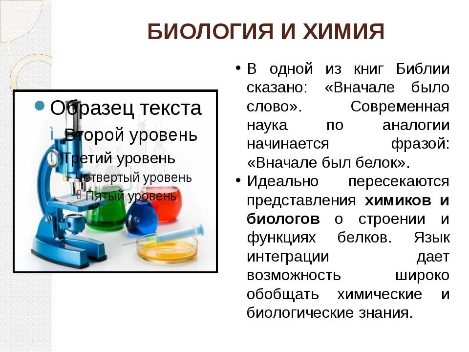 Как правильно выбрать бытовую химию для офиса? в чем отличие бытовой химии от профессиональной?