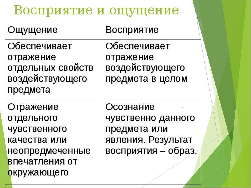 Ощущение и восприятие — ept
