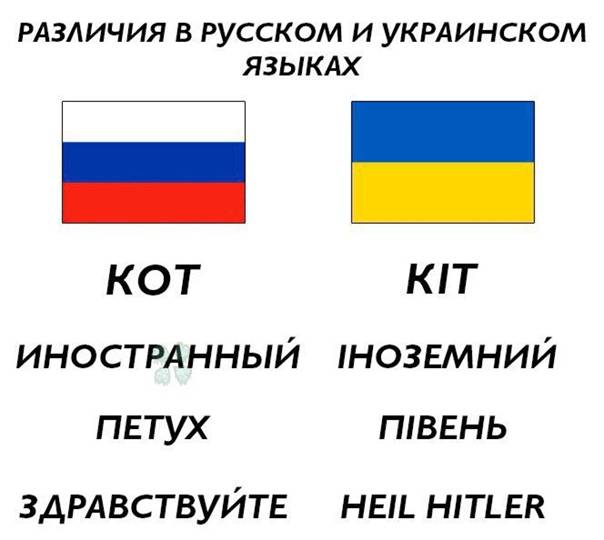 Какой язык проще — украинский или белорусский: сравнение и различия