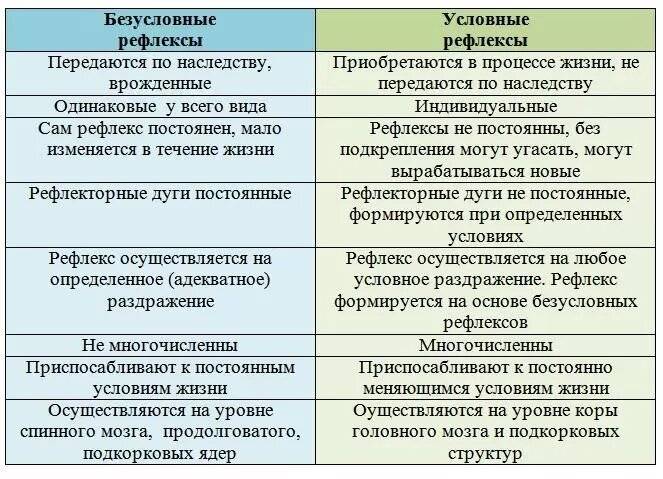 Условные  и безусловные рефлексы у человека: что служит примером, как называется комплекс