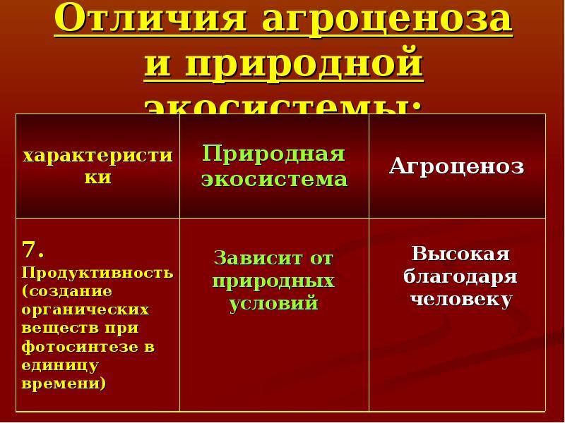 Чем природная экосистема отличается от агроэкосистемы: сравнение