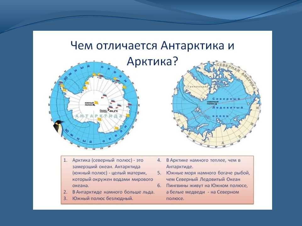 Антарктика и антарктида: их отличия на глобусе и расположение на карте мира