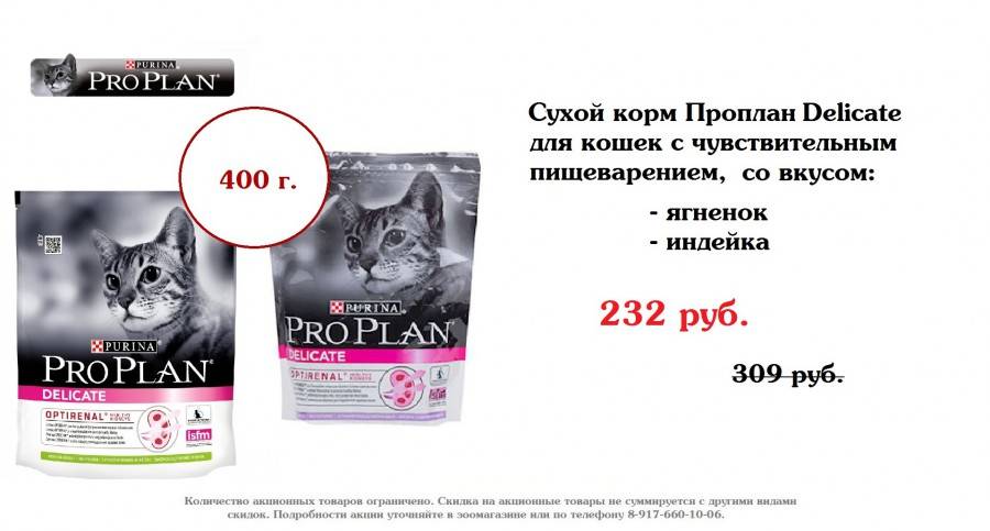 9 лучших сухих кормов holistic для кошек — рейтинг 2024