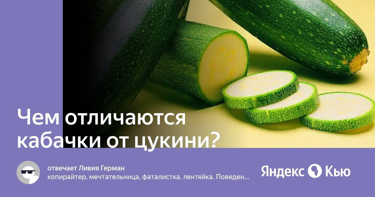 Чем отличаются кабачки и патиссоны: в чём разница, основные отличия