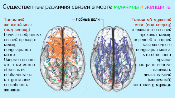 Чем отличается девушка от женщины — основные различия. различия между мужчиной и женщиной